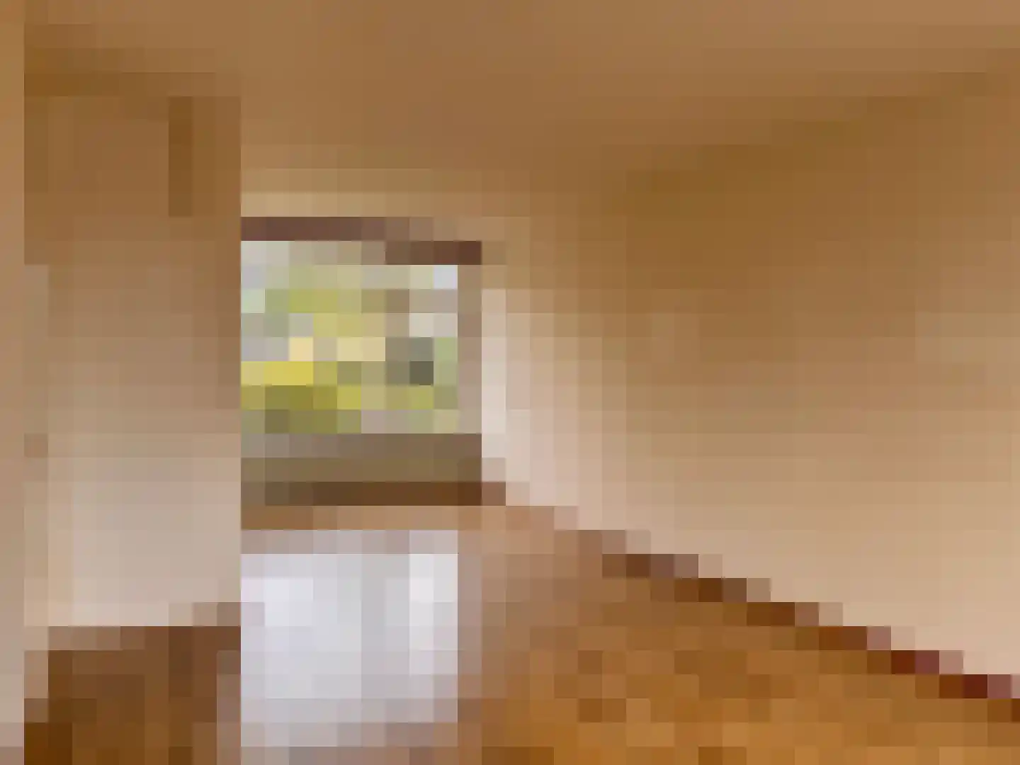 Twickel 24 Almelo thumbnail 6