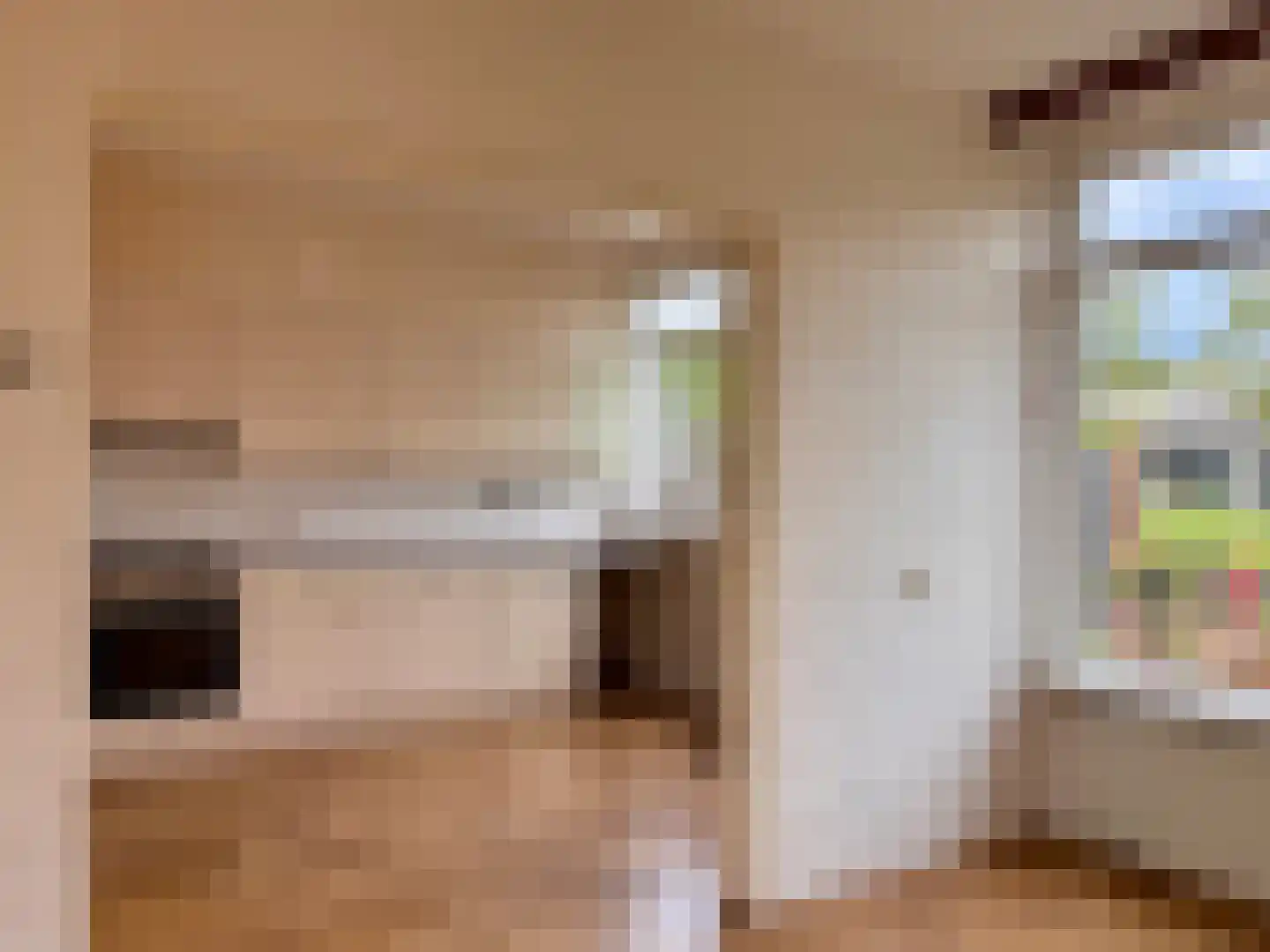 Twickel 24 Almelo thumbnail 8