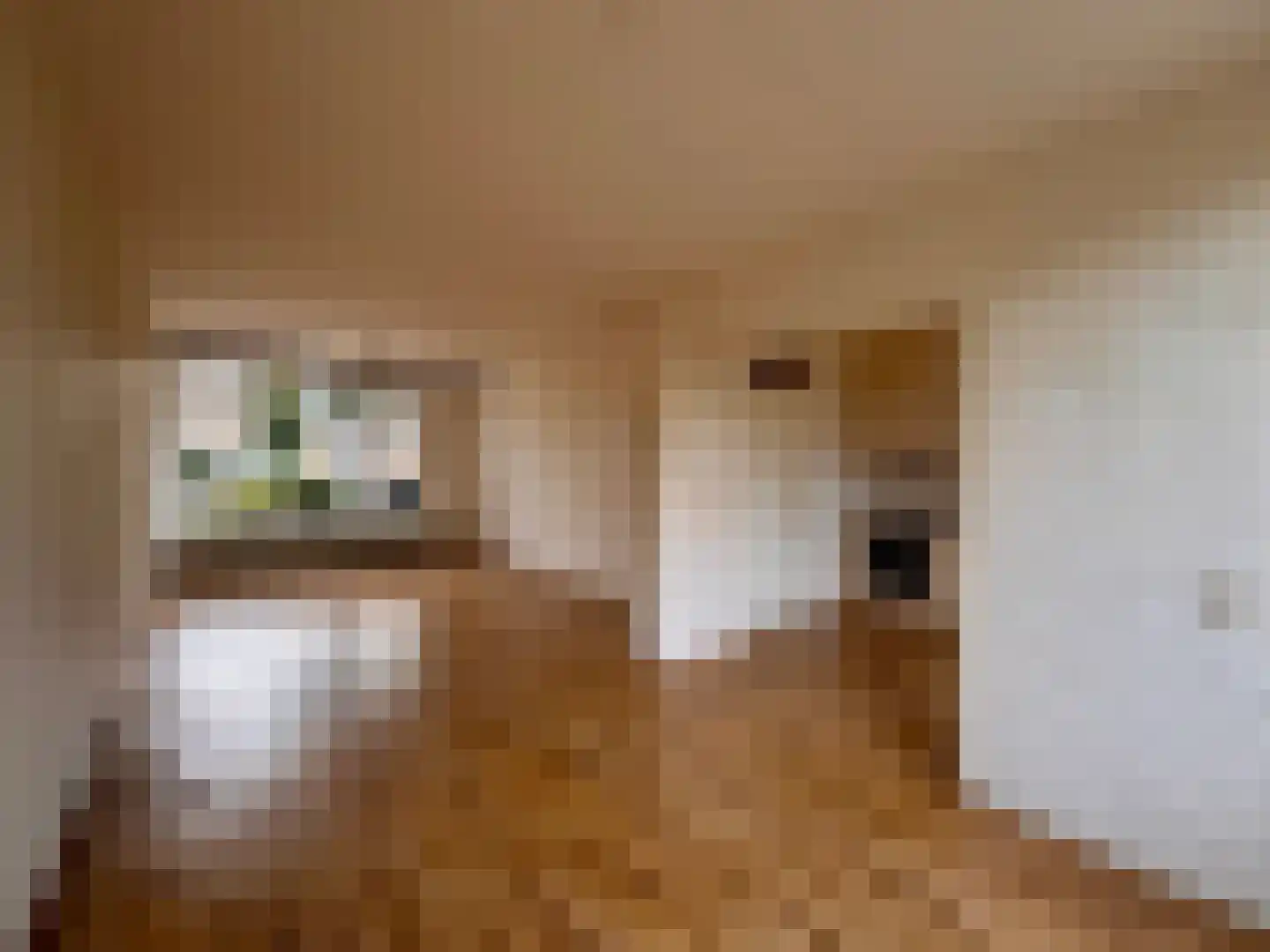 Twickel 24 Almelo thumbnail 9