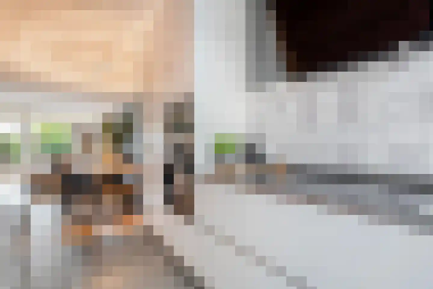 Twickel 25 Almelo thumbnail 11