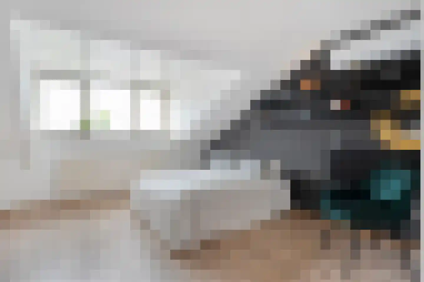 Twickel 25 Almelo thumbnail 23