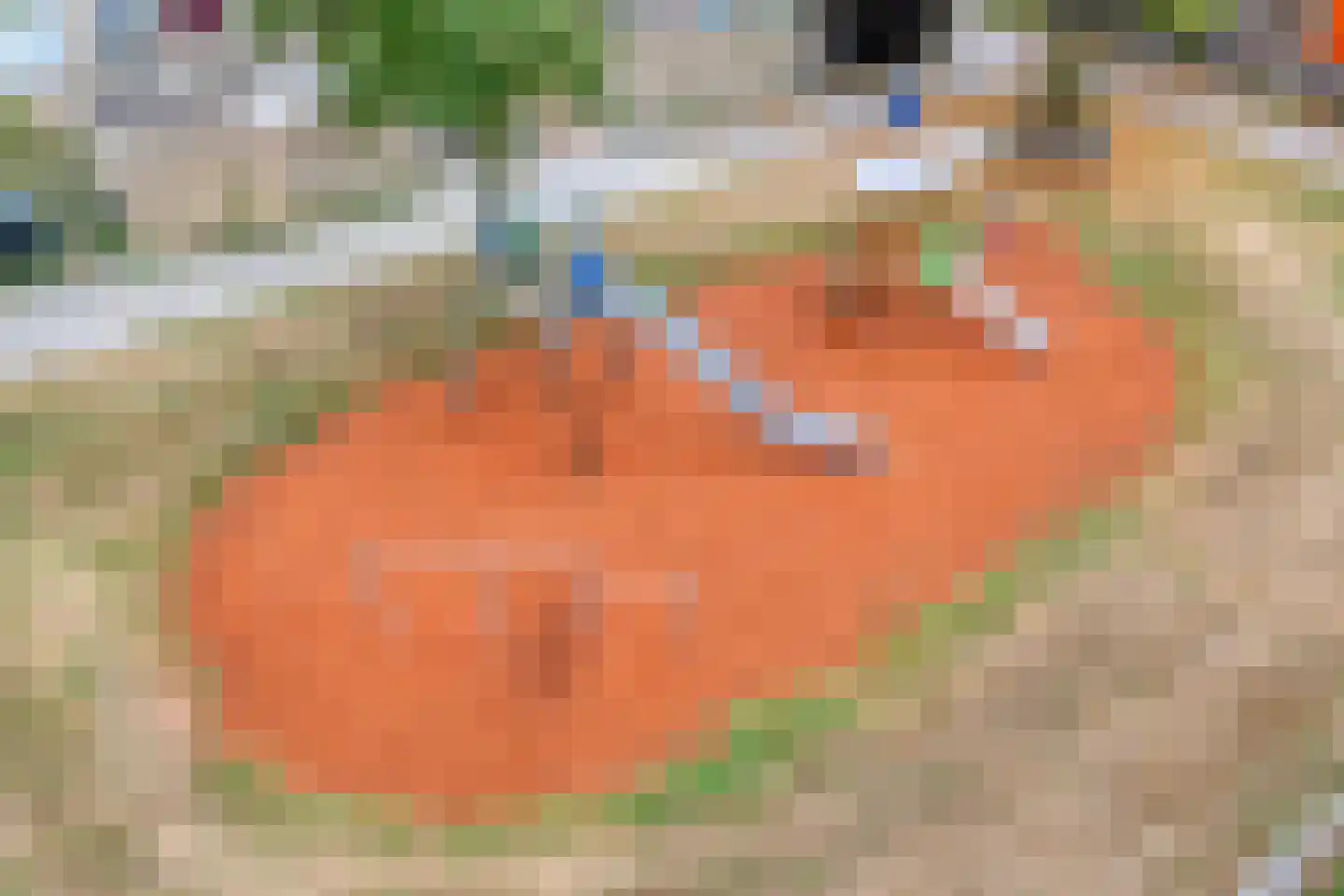 Twickel 25 Almelo thumbnail 28
