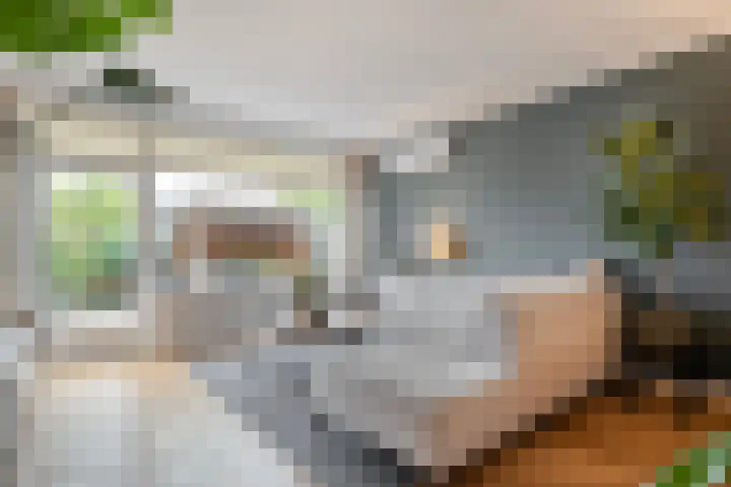 Twickel 25 Almelo thumbnail 7