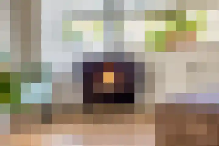 Twickel 25 Zeewolde thumbnail 14