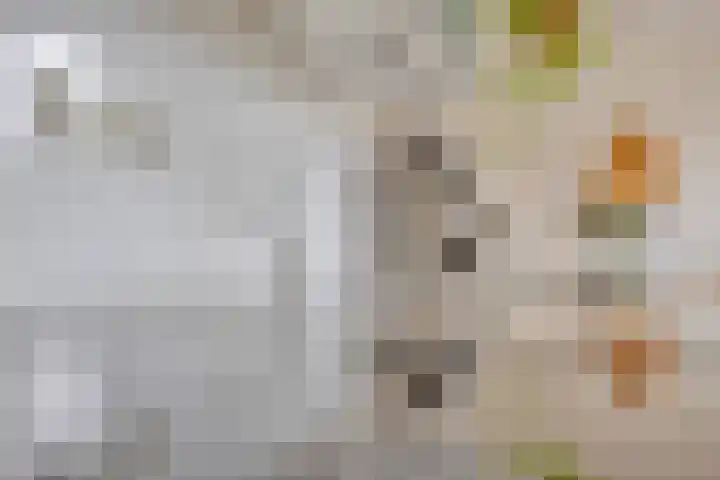 Twickel 25 Zeewolde thumbnail 18