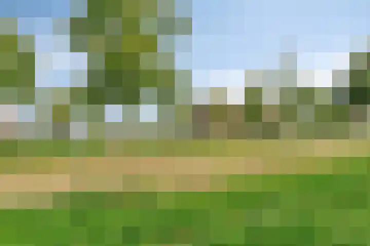 Twickel 25 Zeewolde thumbnail 48