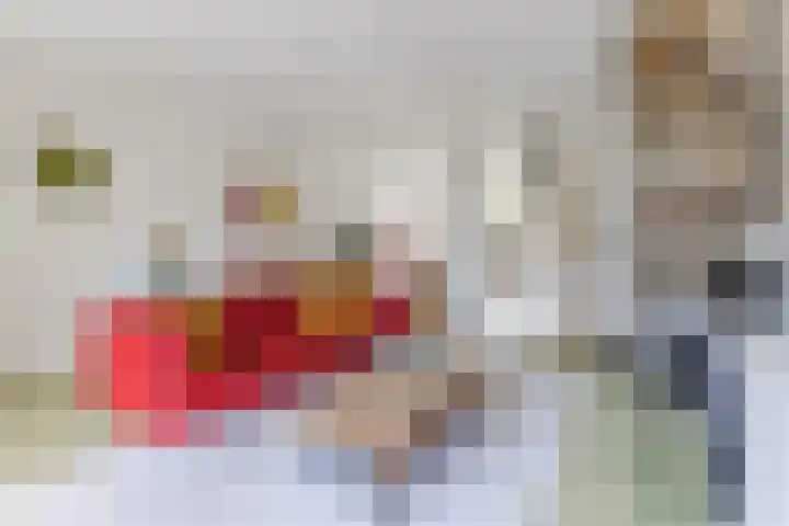 Twickel 26 Haarlem thumbnail 10