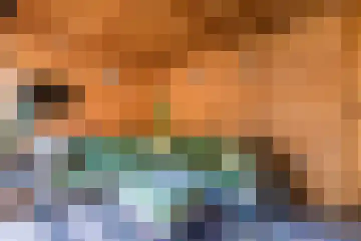 Twickel 26 Haarlem thumbnail 17