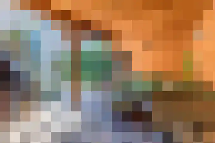 Twickel 26 Haarlem thumbnail 18