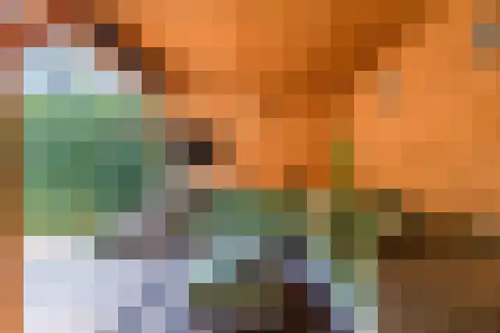 Twickel 26 Haarlem thumbnail 19