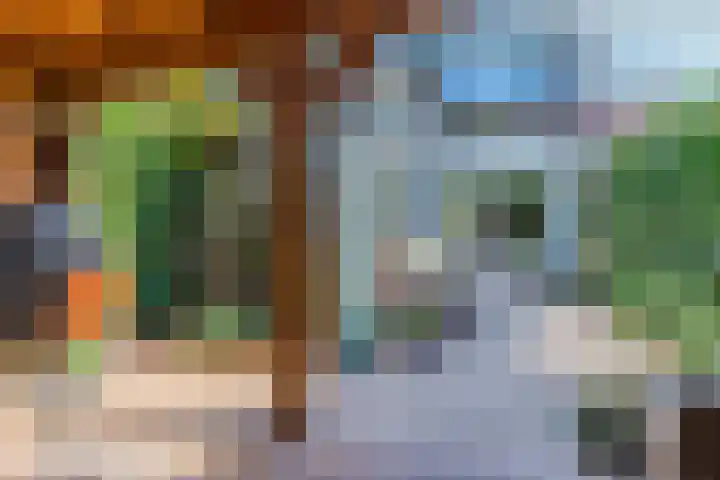 Twickel 26 Haarlem thumbnail 20