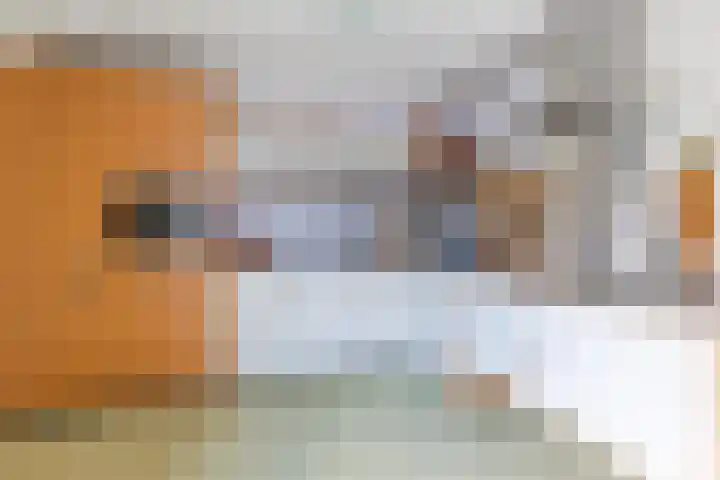 Twickel 26 Haarlem thumbnail 22