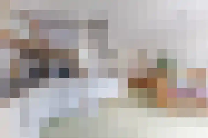 Twickel 26 Haarlem thumbnail 24