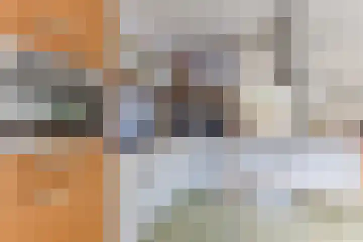 Twickel 26 Haarlem thumbnail 25