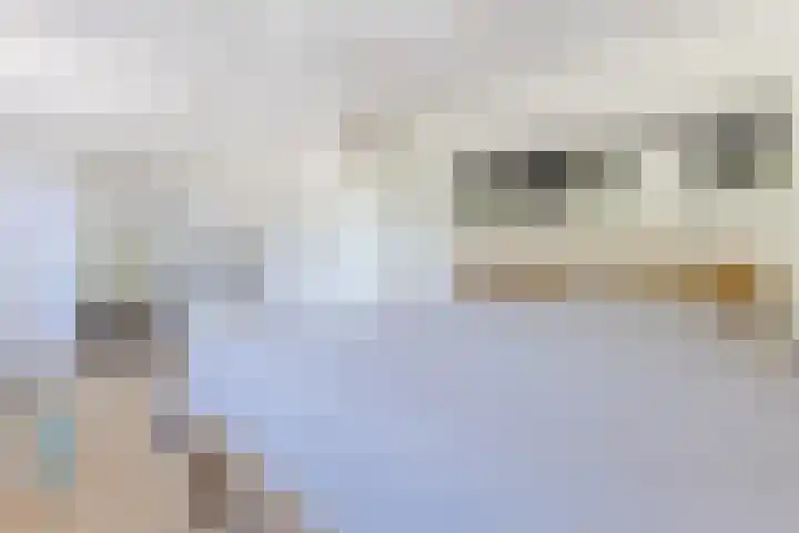 Twickel 26 Haarlem thumbnail 28