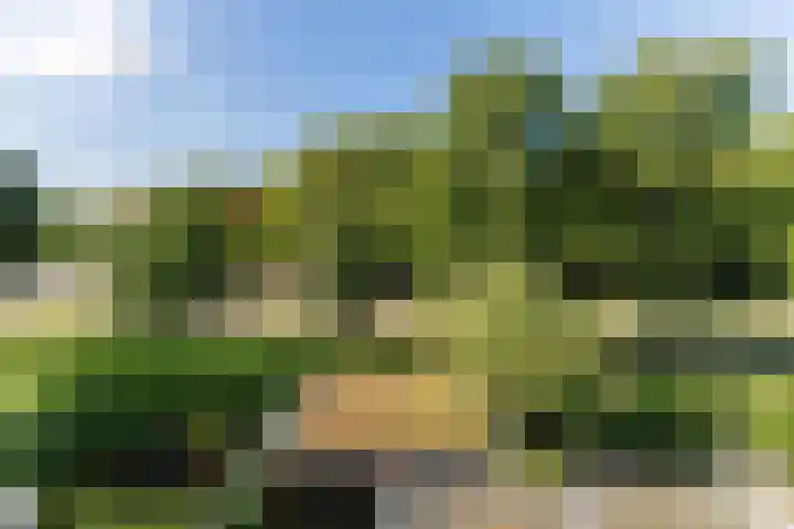Twickel 26 Haarlem thumbnail 4