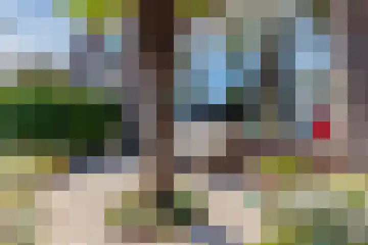 Twickel 26 Haarlem thumbnail 5