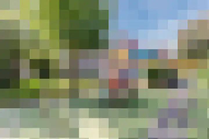 Twickel 26 Haarlem thumbnail 54