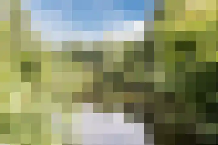 Twickel 26 Haarlem thumbnail 56