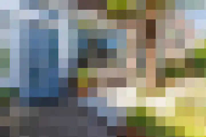 Twickel 26 Haarlem thumbnail 6