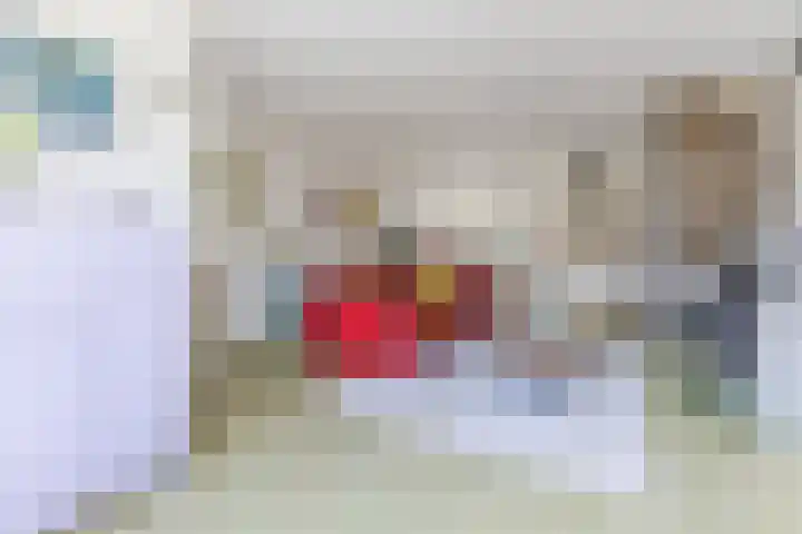 Twickel 26 Haarlem thumbnail 9