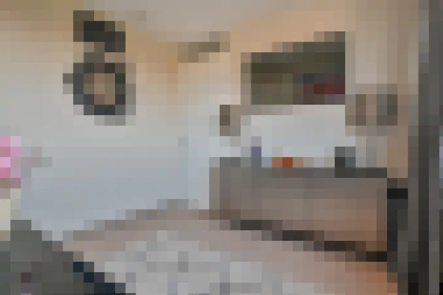 Twickel 27 Zeewolde thumbnail 22