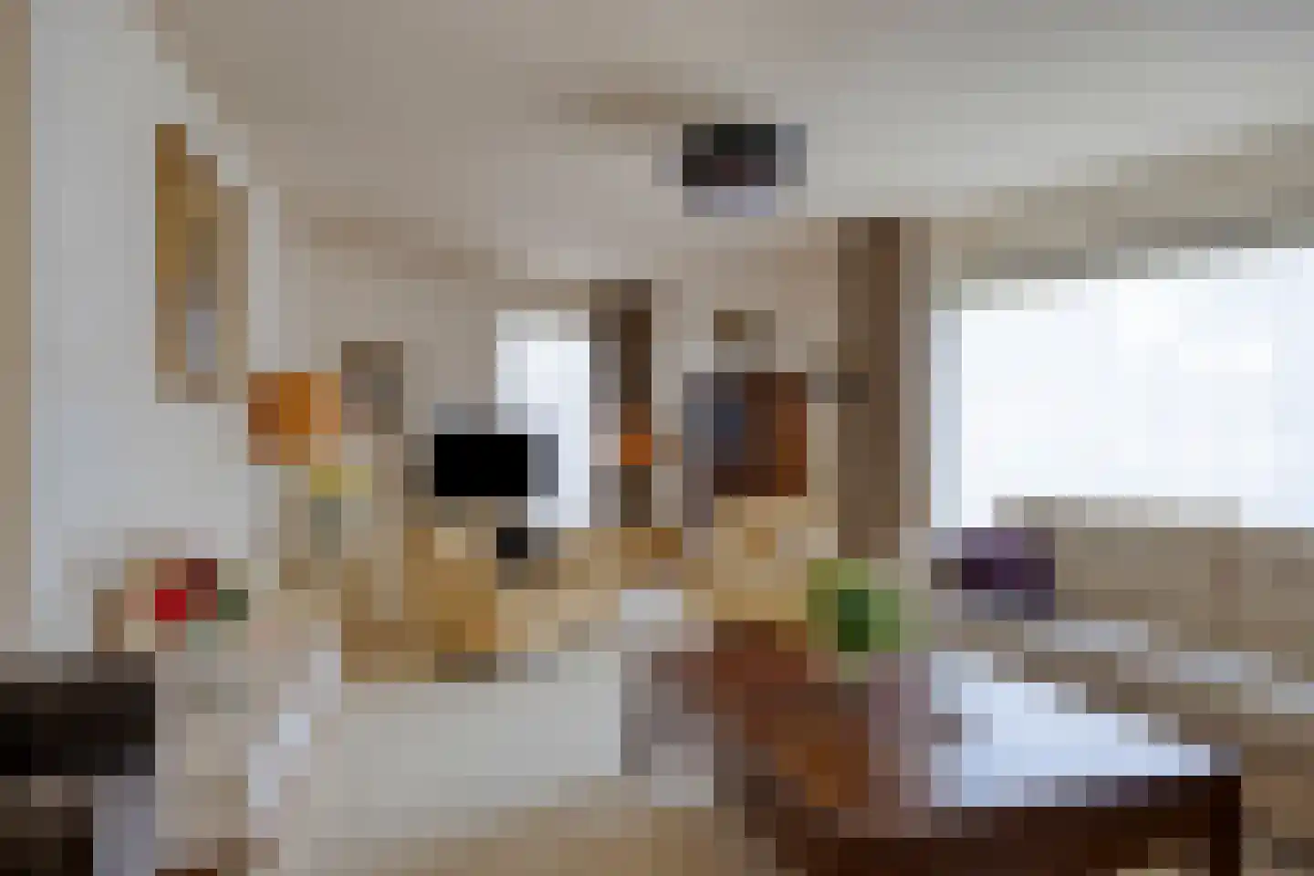 Twickel 32 Eindhoven thumbnail 13