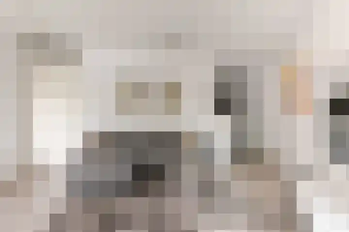 Twickel 32 Eindhoven thumbnail 14