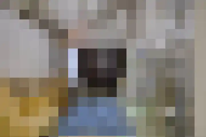 Twickel 32 Eindhoven thumbnail 25