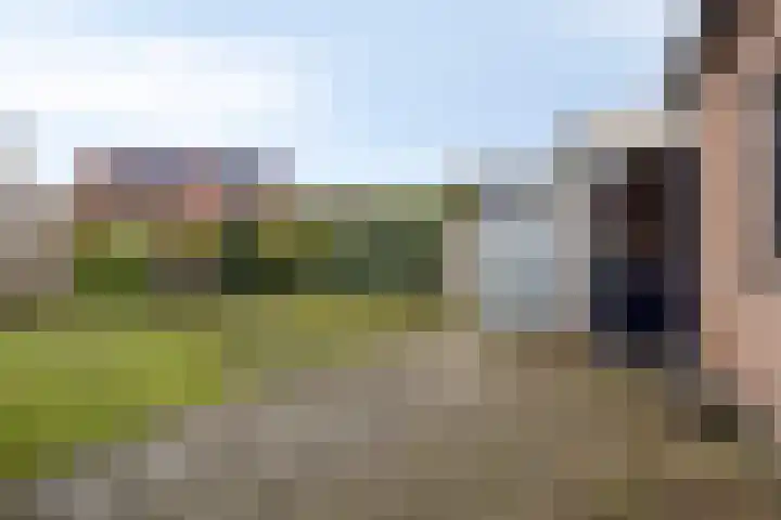 Twickel 32 Eindhoven thumbnail 30