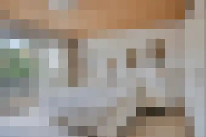 Twickel 32 Eindhoven thumbnail 32
