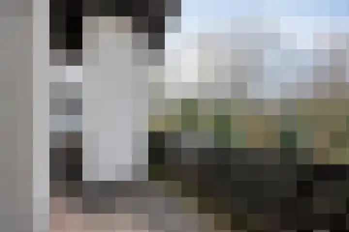 Twickel 32 Eindhoven thumbnail 33