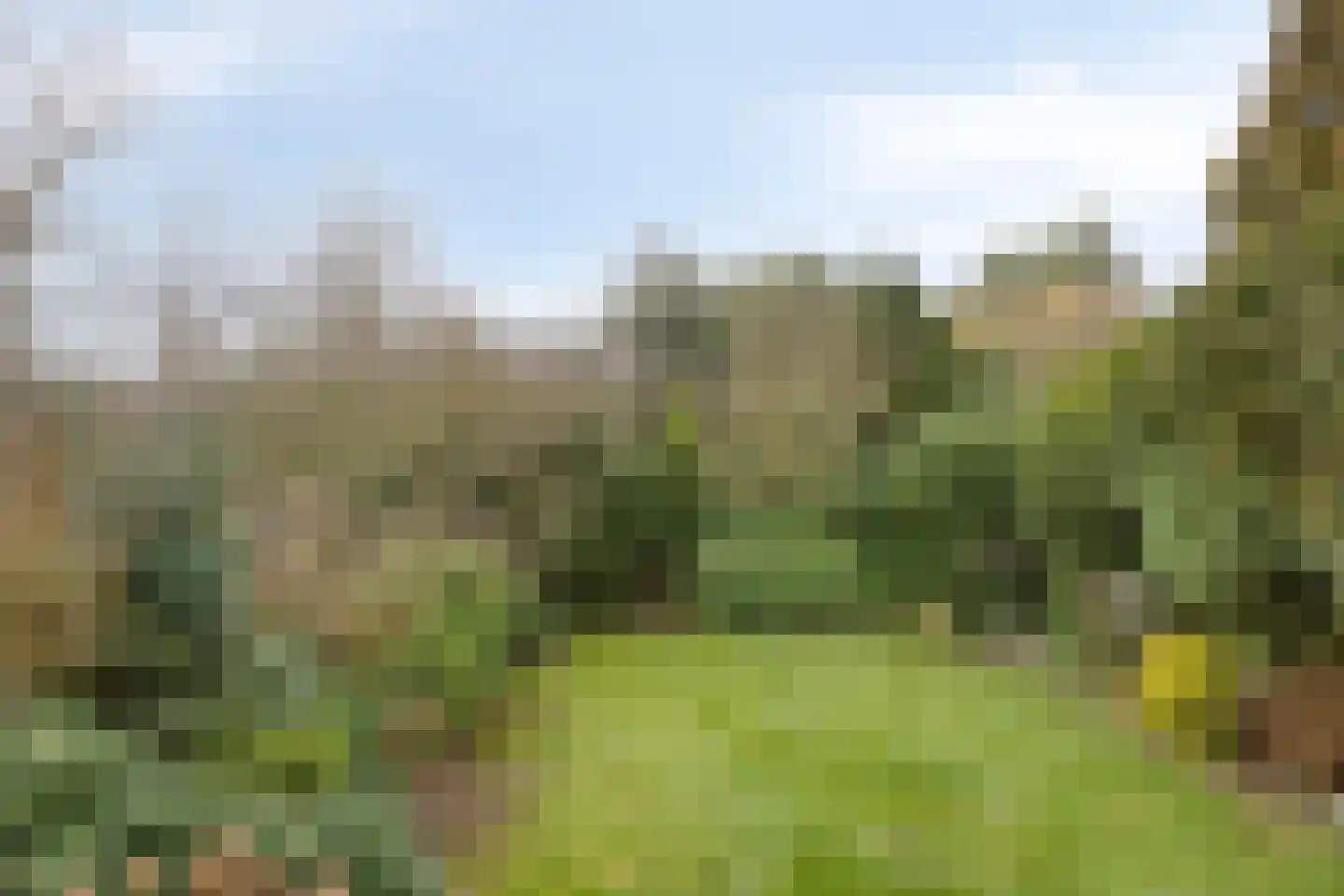 Twickel 32 Eindhoven thumbnail 34