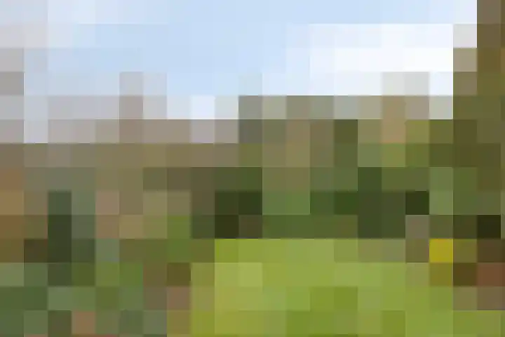 Twickel 32 Eindhoven thumbnail 34