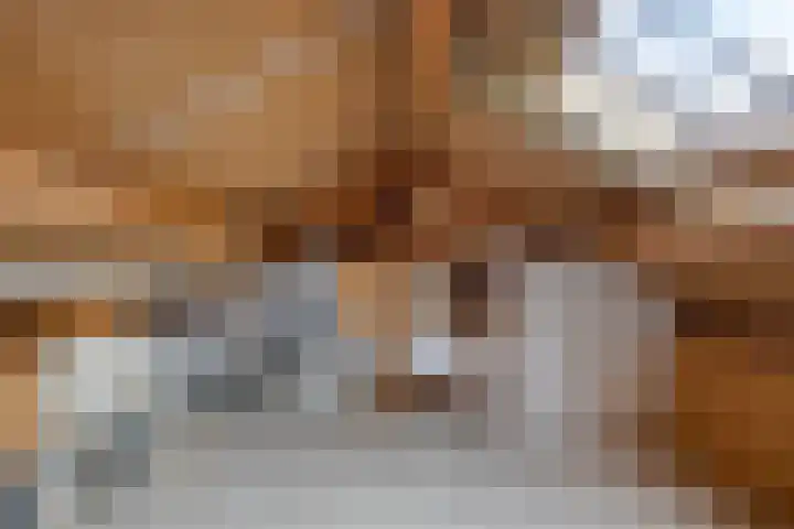 Twickel 32 Eindhoven thumbnail 45