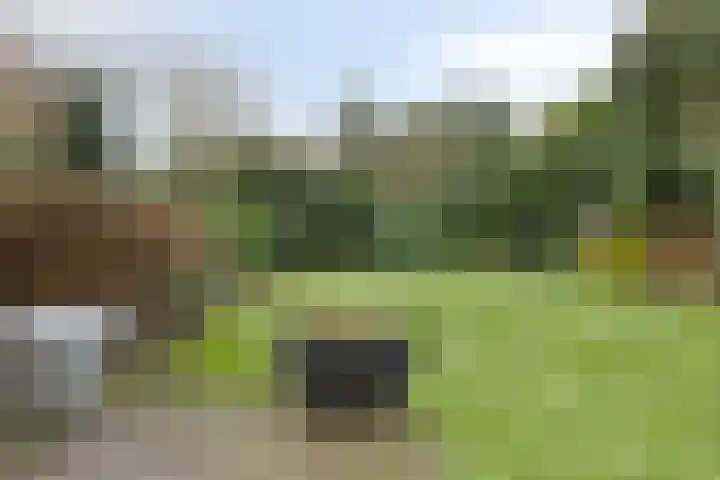 Twickel 32 Eindhoven thumbnail 47