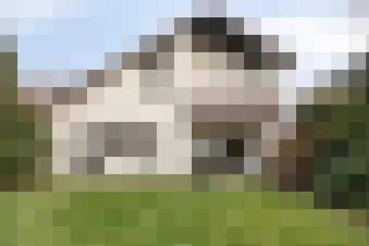 Twickel 32 Eindhoven thumbnail 48