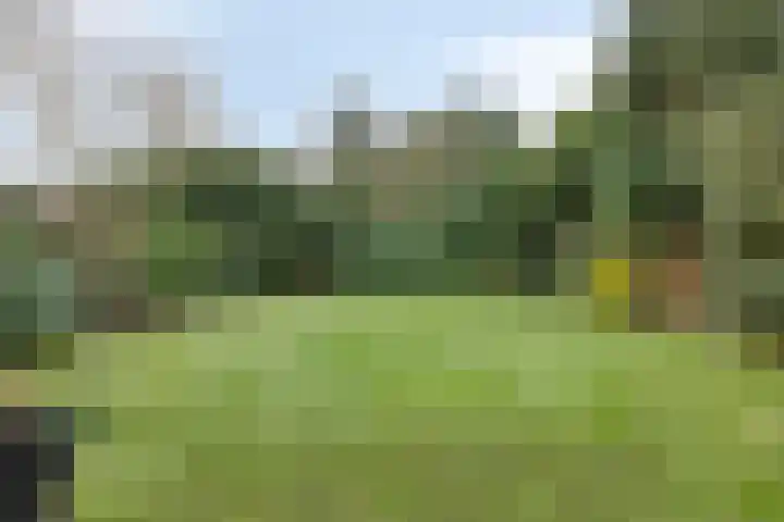 Twickel 32 Eindhoven thumbnail 49