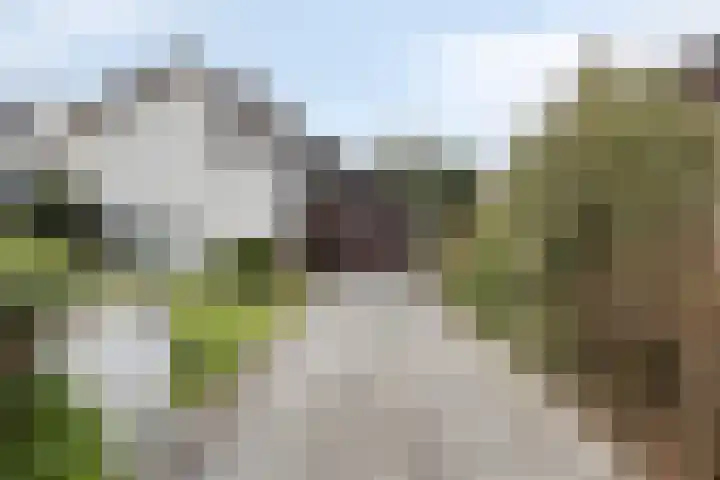 Twickel 32 Eindhoven thumbnail 50