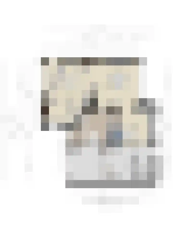 Twickel 32 Eindhoven thumbnail 53