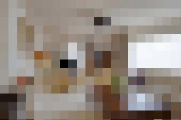 Twickel 32 Eindhoven thumbnail 7