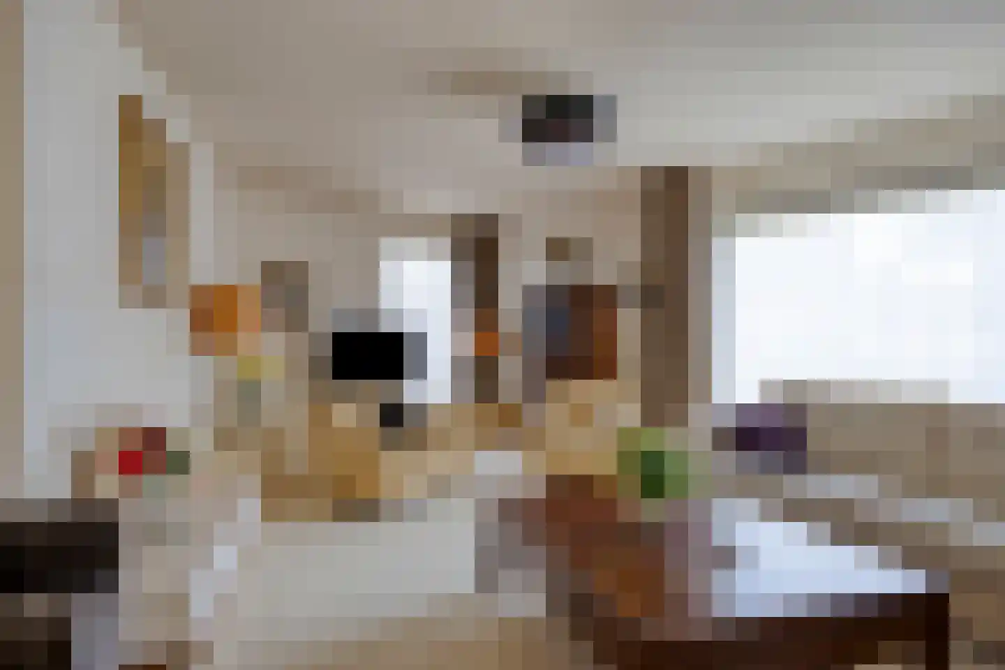 Twickel 32 Eindhoven thumbnail 7