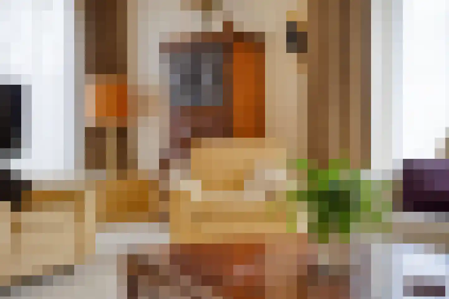 Twickel 32 Eindhoven thumbnail 9