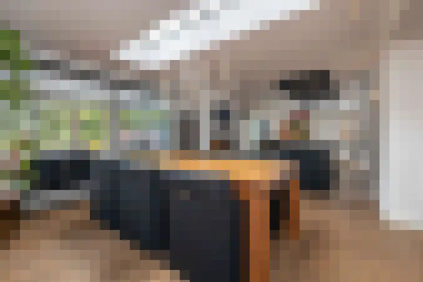 Twickel 34 Eindhoven thumbnail 19