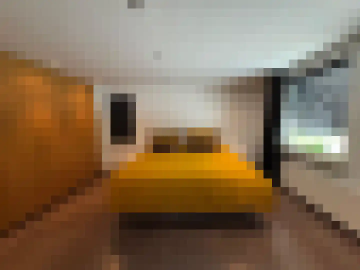 Twickel 34 Eindhoven thumbnail 25