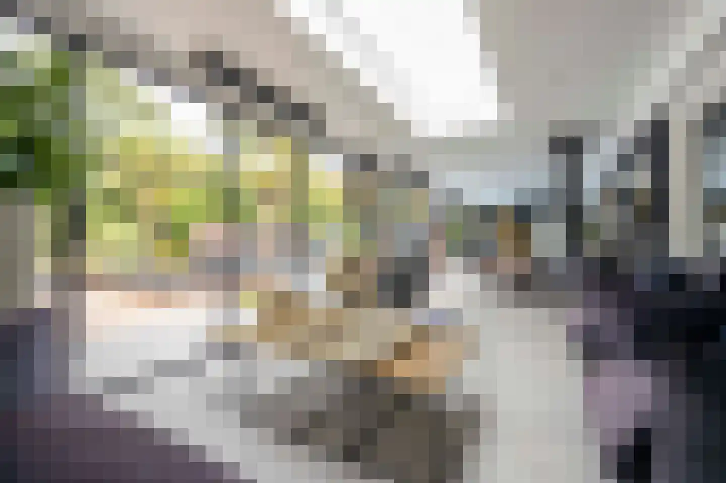 Twickel 34 Eindhoven thumbnail 33