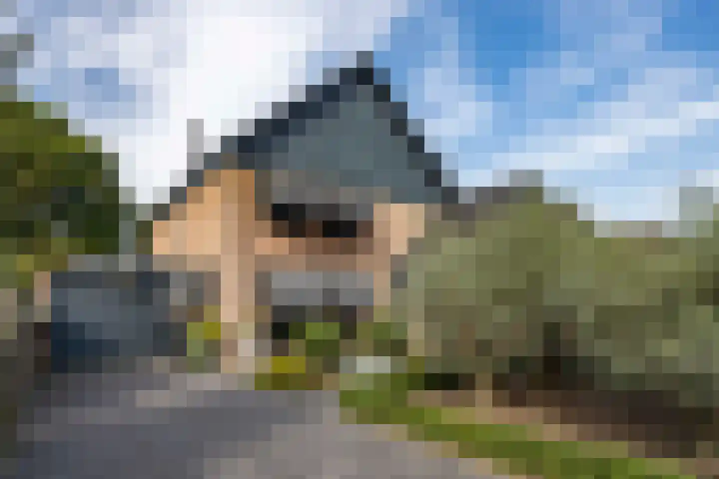 Twickel 34 Eindhoven thumbnail 37