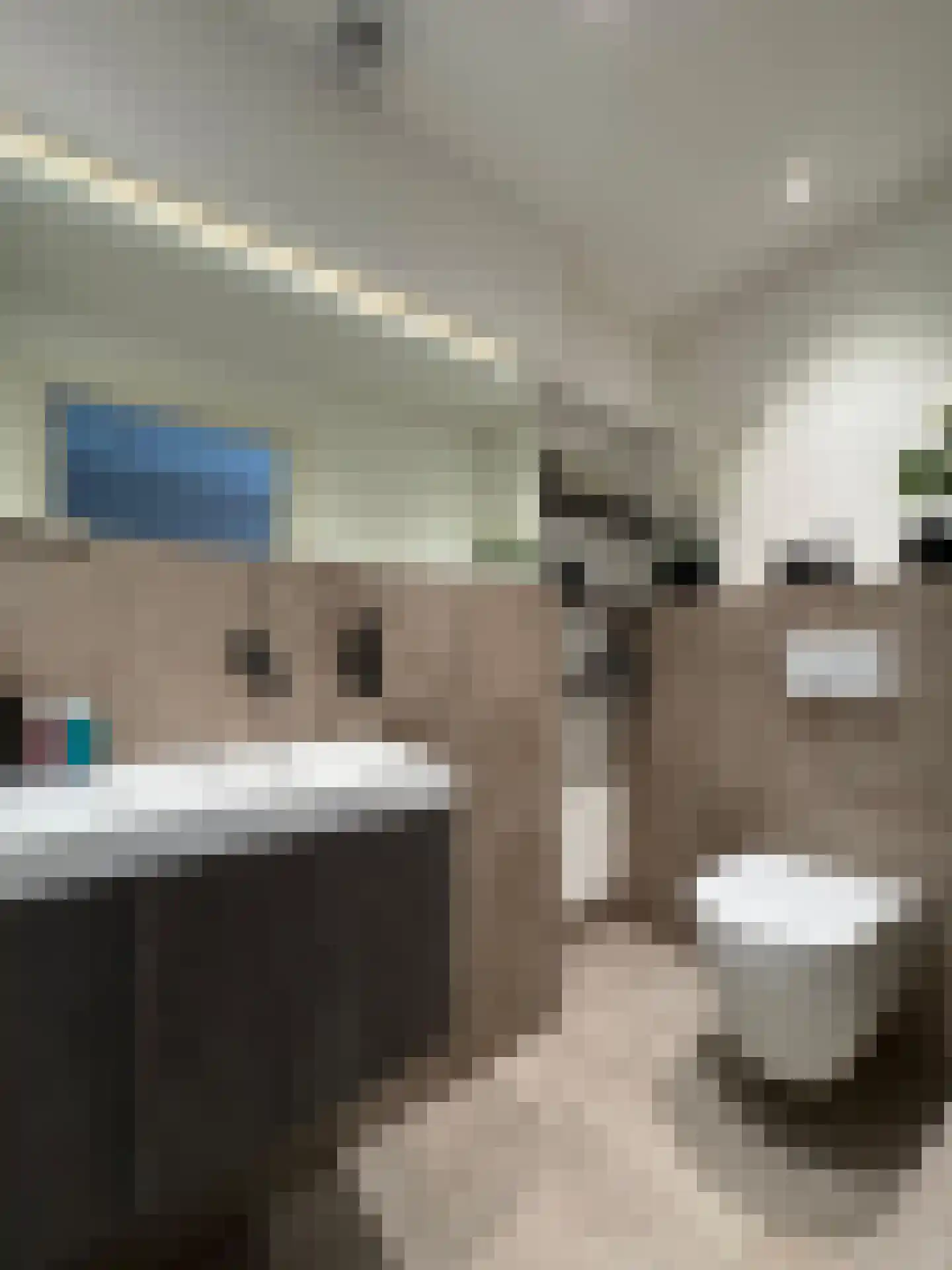 Twickel 34 Eindhoven thumbnail 7