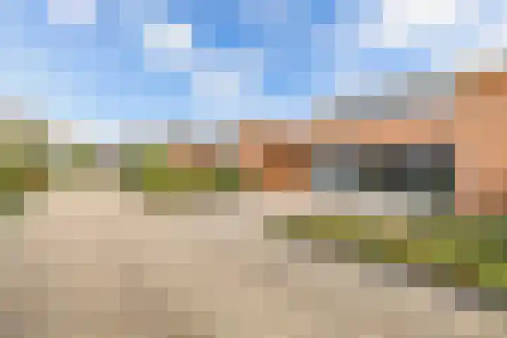 Twickel 35 Lelystad thumbnail 7