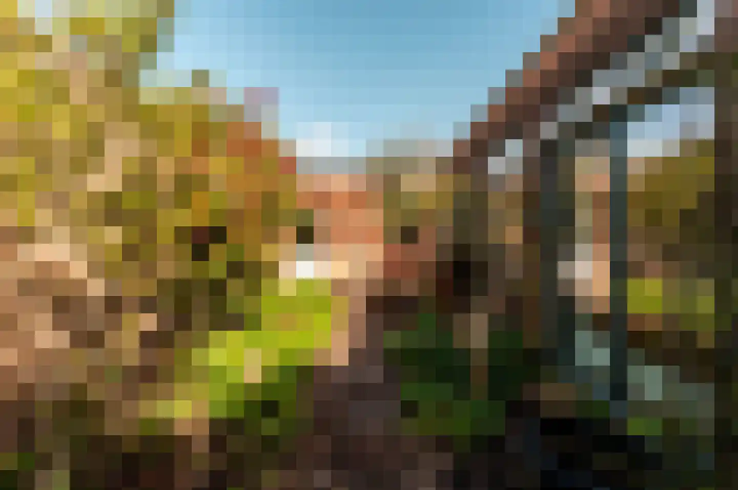 Twickel 36 Lelystad thumbnail 27